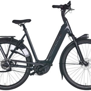 Gazelle Arroyo C5 HMB Elite 600Wh (2025)