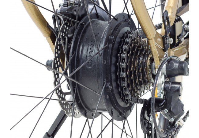 Solex Intemporel 1946 Confort - "Louis d'Or" Édition Versailles (2025) – Image 13